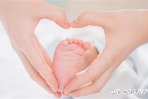 http://yantai.51dzb.net/post/188.html|烟台新闻中心